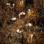 Draadloze Dimbare LED Tafellamp - ClarityGlow