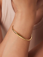 Gold Plated Massieve Armband