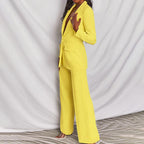 Chique Blazer En Broek Set Voor Vrouwen - Harlett